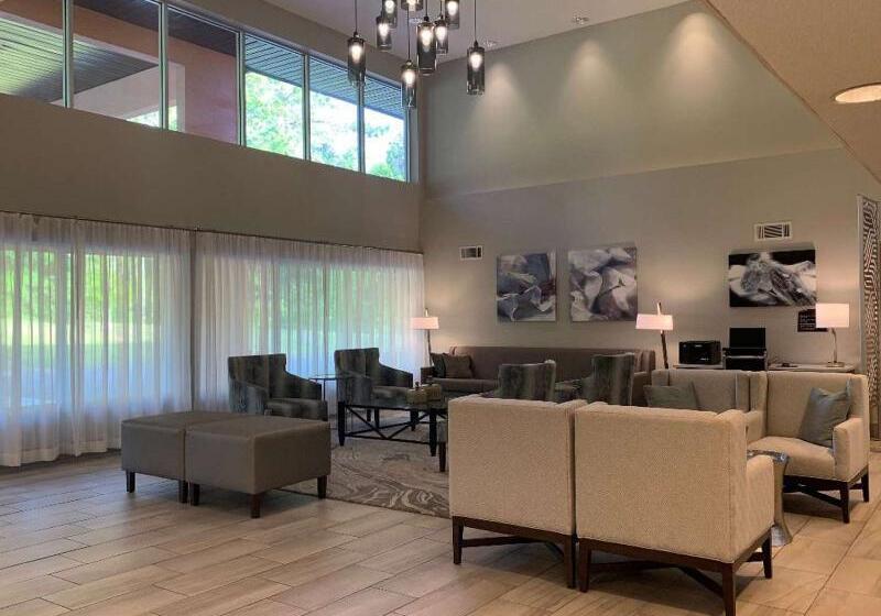 酒店 Best Western Tallahasseedowntown Inn And Suites