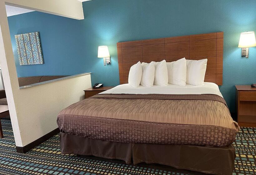 酒店 Best Western Tallahasseedowntown Inn And Suites
