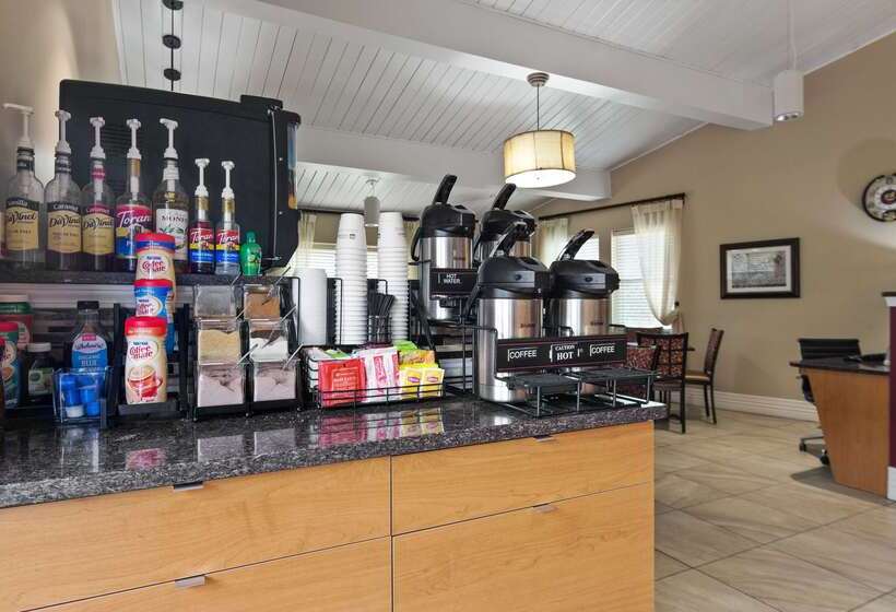 酒店 Best Western Winchester