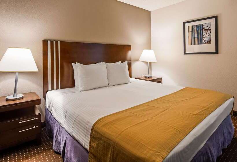 酒店 Best Western Yacht Harbor