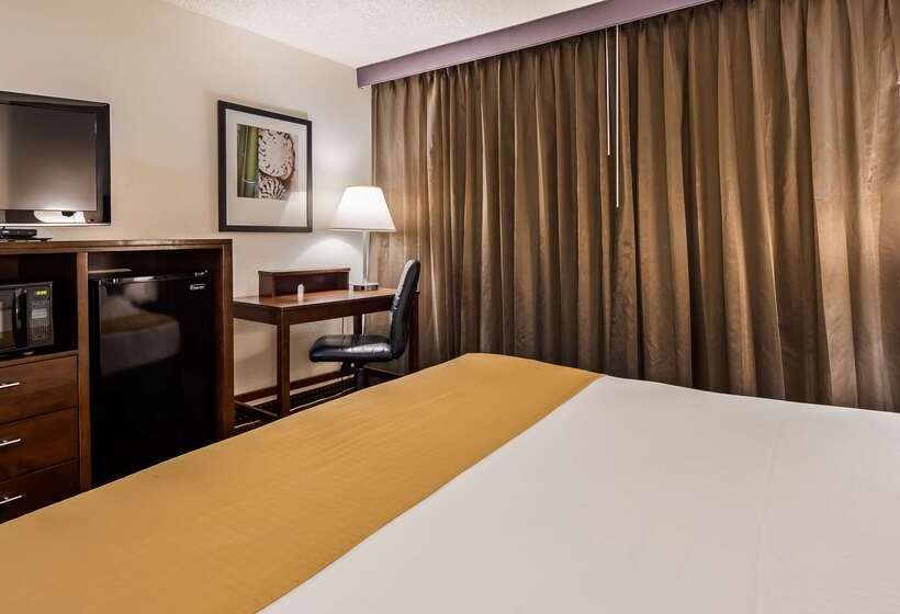 酒店 Best Western Yacht Harbor