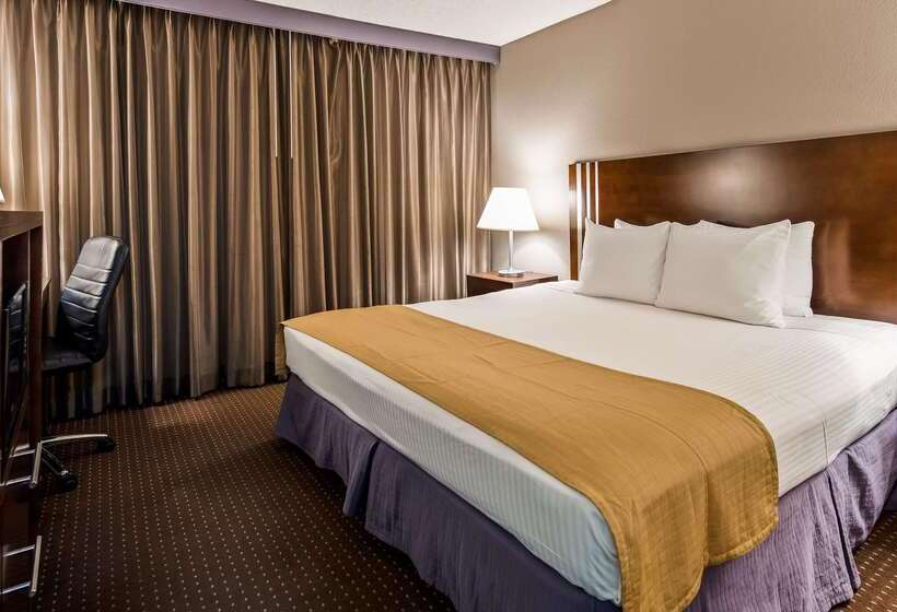 酒店 Best Western Yacht Harbor