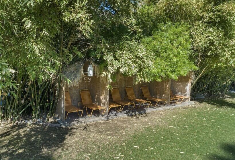 ホテル Caliente Tropics