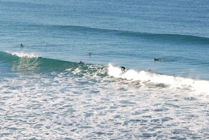 فندق Carlsbad By The Sea