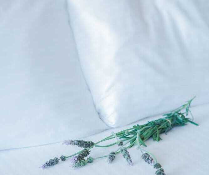 בית מלון כפרי Casa Ojai Inn