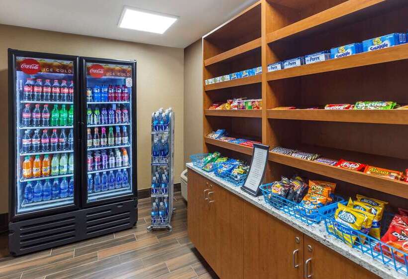 فندق Comfort Inn & Suites Rochelle   Dekalb