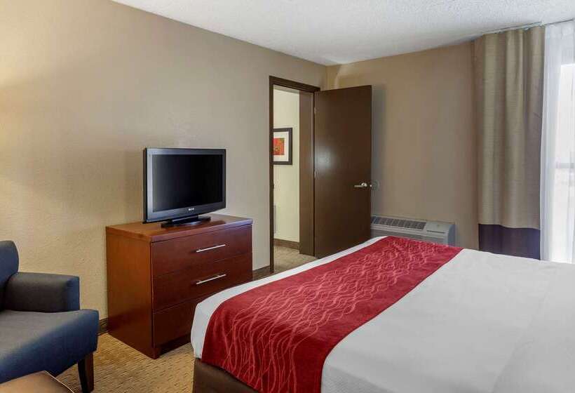 فندق Comfort Inn & Suites Rochelle   Dekalb