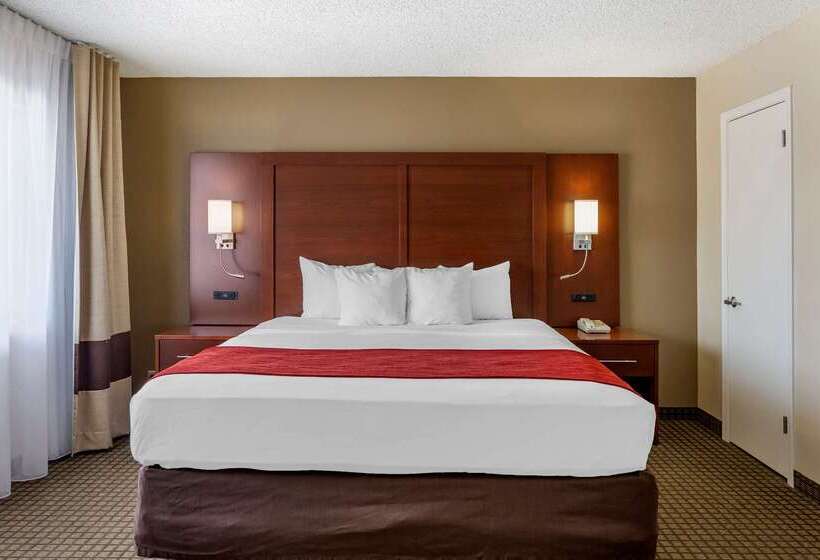 فندق Comfort Inn & Suites Rochelle   Dekalb