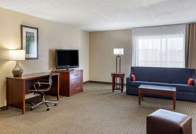 فندق Comfort Inn & Suites Rochelle   Dekalb
