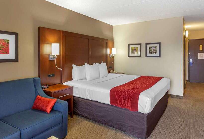 فندق Comfort Inn & Suites Rochelle   Dekalb