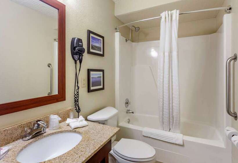 فندق Comfort Inn & Suites Rochelle   Dekalb