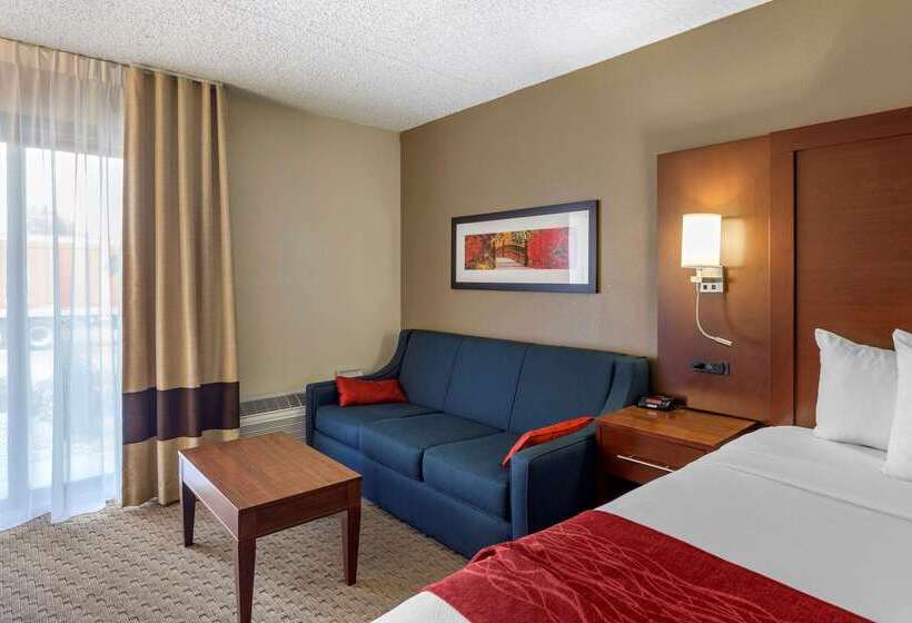 فندق Comfort Inn & Suites Rochelle   Dekalb