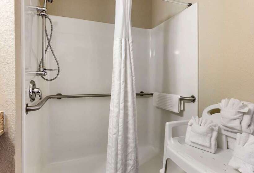 酒店 Comfort Inn & Suites Rochelle   Dekalb
