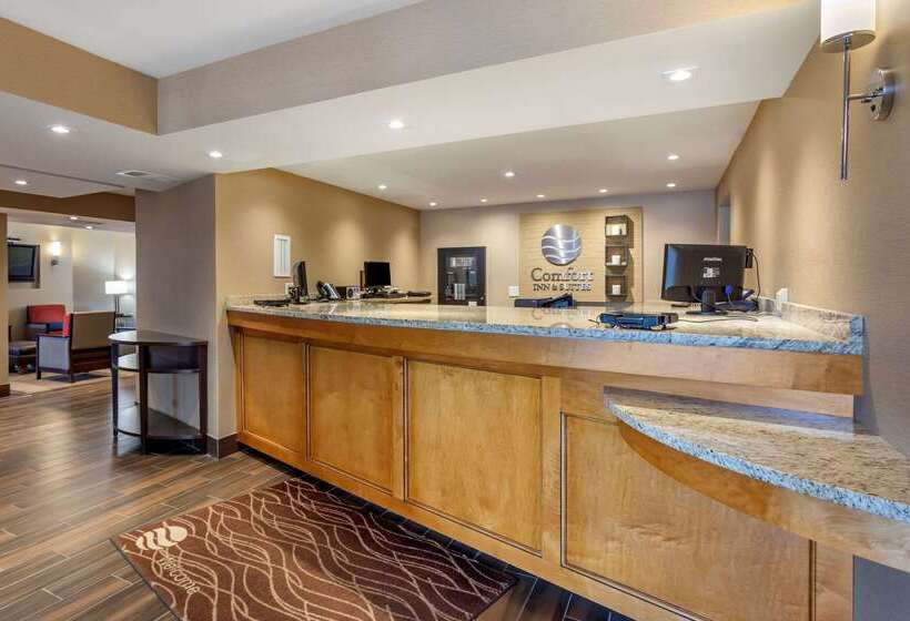 فندق Comfort Inn & Suites Rochelle   Dekalb