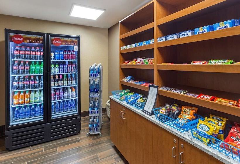 酒店 Comfort Inn & Suites Rochelle   Dekalb