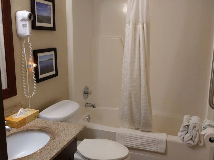 فندق Comfort Inn & Suites Rochelle   Dekalb