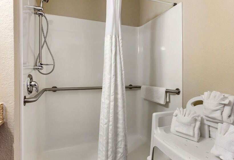 فندق Comfort Inn & Suites Rochelle   Dekalb