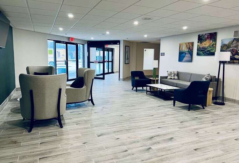 فندق Comfort Inn & Suites