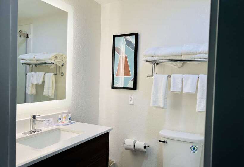 فندق Comfort Inn & Suites