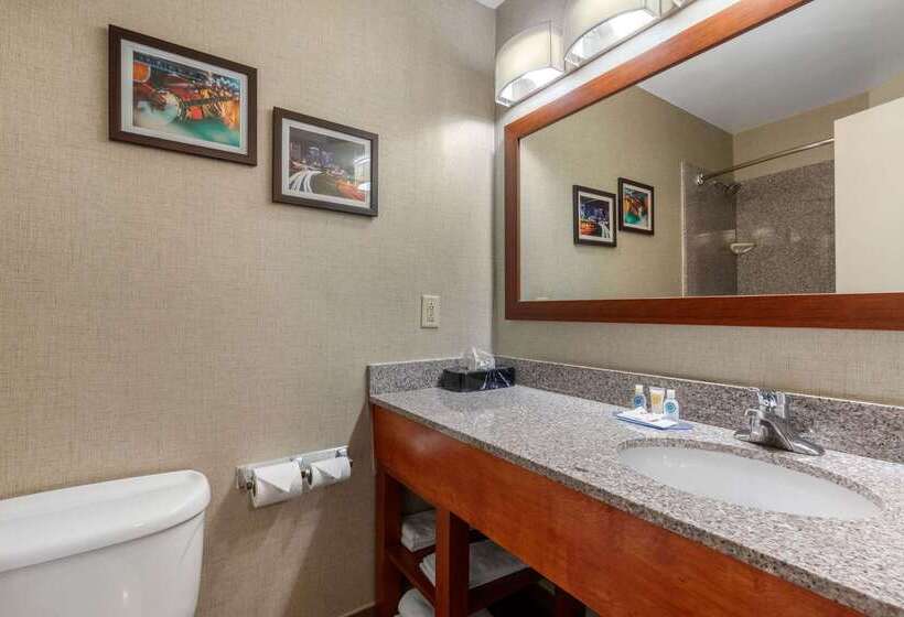 فندق Comfort Inn & Suites Nashville Near Tanger Outlets I 24 Antioch