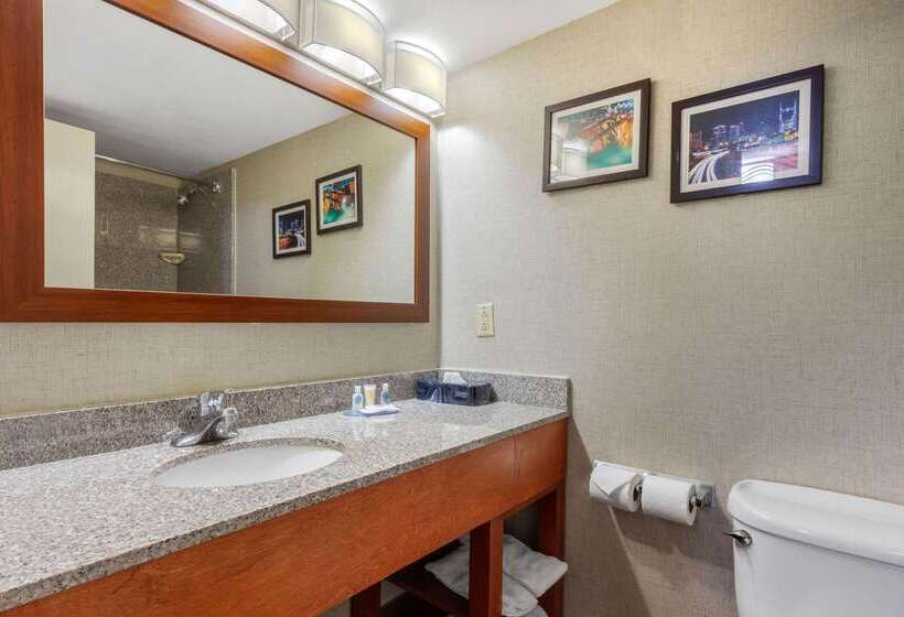 فندق Comfort Inn & Suites Nashville Near Tanger Outlets I 24 Antioch