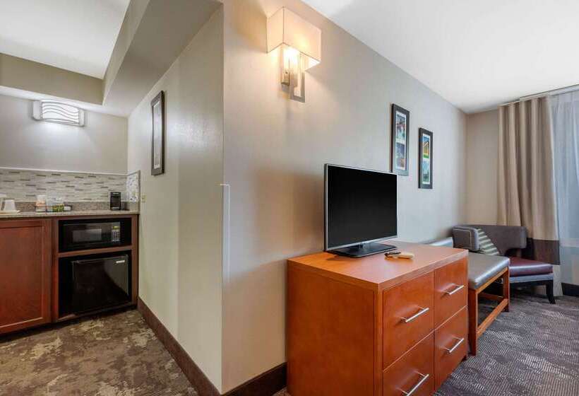 فندق Comfort Inn & Suites Nashville Near Tanger Outlets I 24 Antioch