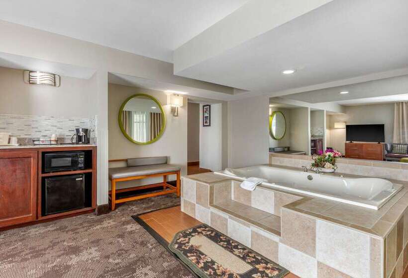 فندق Comfort Inn & Suites Nashville Near Tanger Outlets I 24 Antioch