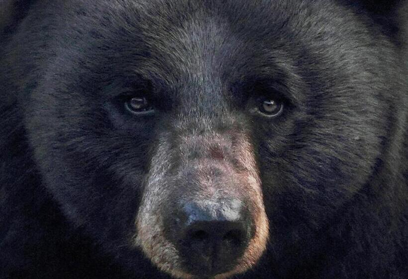 فندق Crosswinds Inn