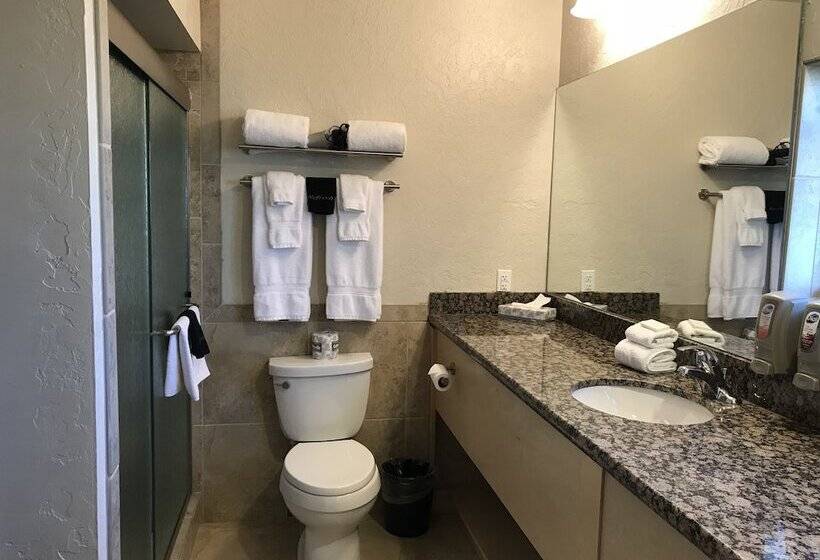 فندق Dinosaur Inn & Suites