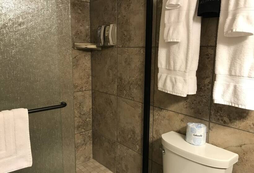 فندق Dinosaur Inn & Suites