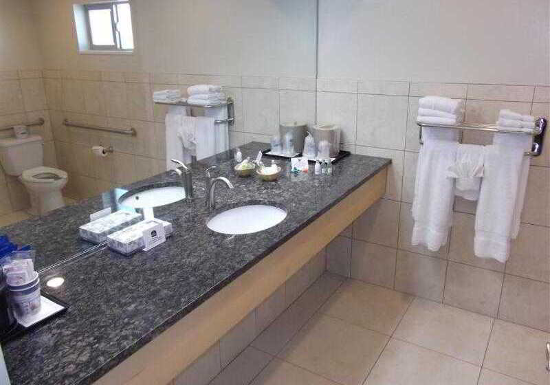 فندق Dinosaur Inn & Suites