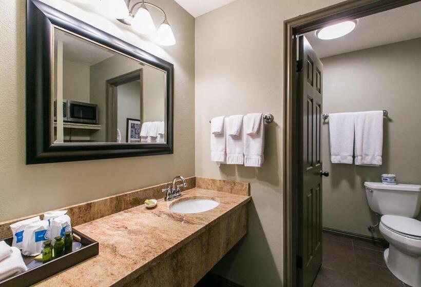 فندق Driftwood Lodge