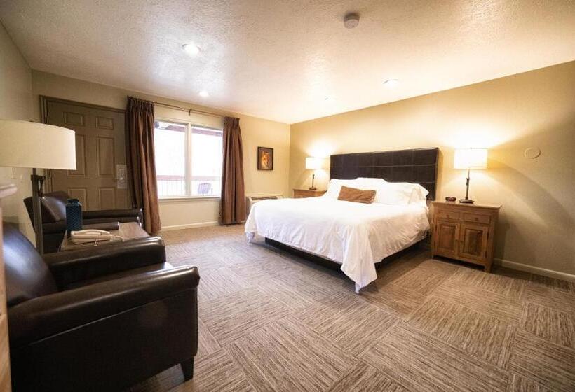 فندق Driftwood Lodge