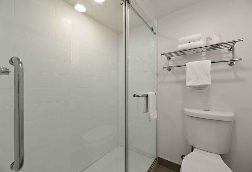 هتل Econo Lodge Flagstaff Route 66