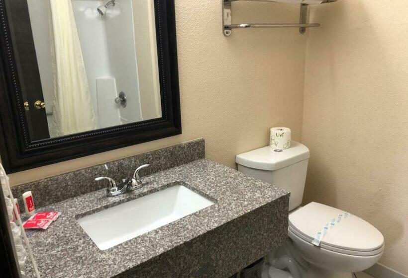 ホテル Econo Lodge Inn & Suites Central