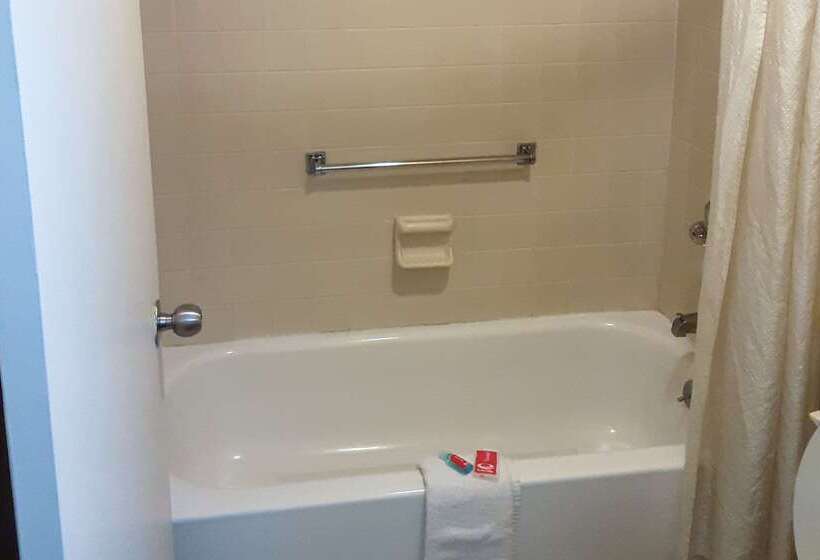 호텔 Econo Lodge Inn & Suites