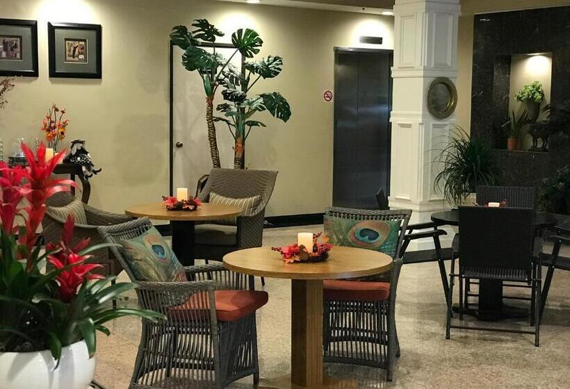 فندق Greentree Inn & Suites Los Angeles   Alhambra   Pasadena