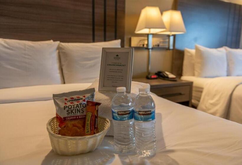 فندق Greentree Inn & Suites Los Angeles   Alhambra   Pasadena