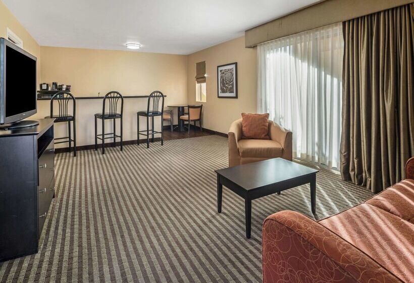 هتل La Quinta By Wyndham Tucson   Reid Park