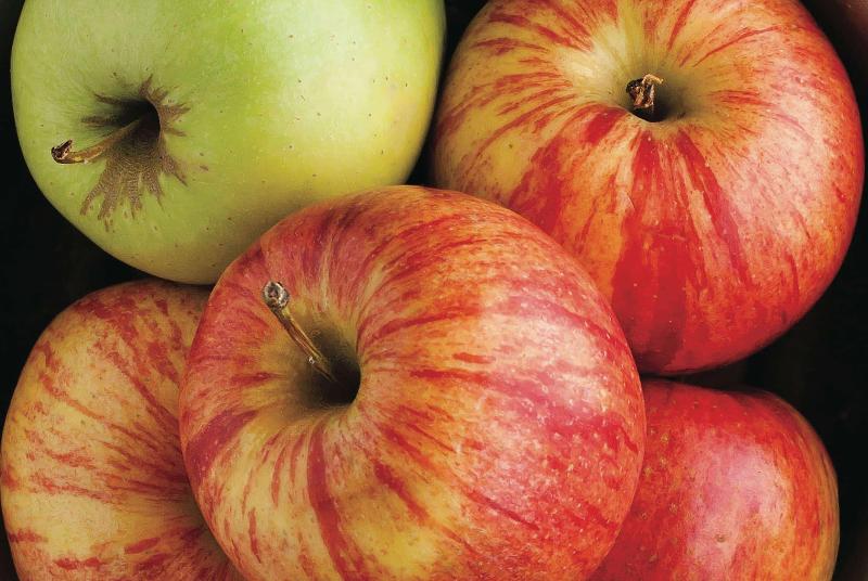 فندق La Quinta By Wyndham Madera