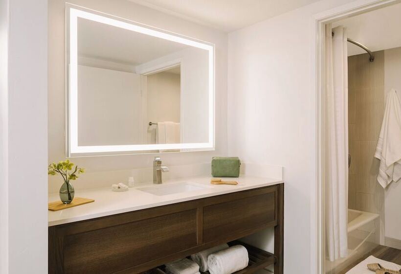 בית מלון כפרי Sonder La Ensenada