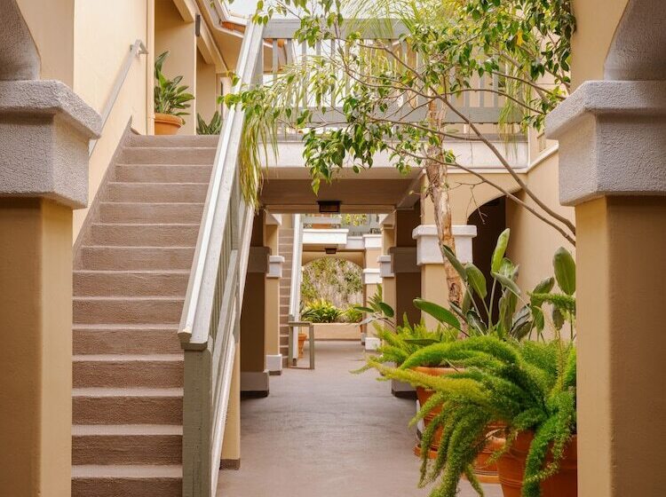 בית מלון כפרי Sonder La Ensenada