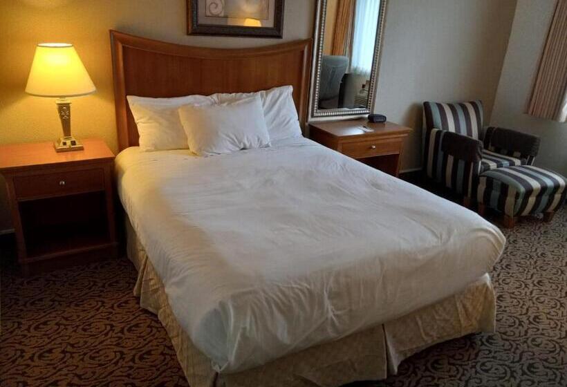 فندق Lupine Inn