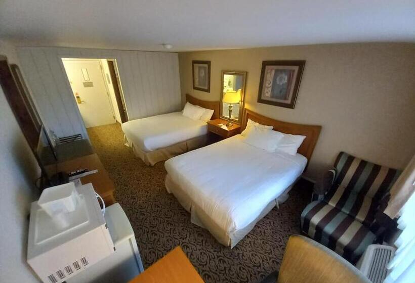 فندق Lupine Inn