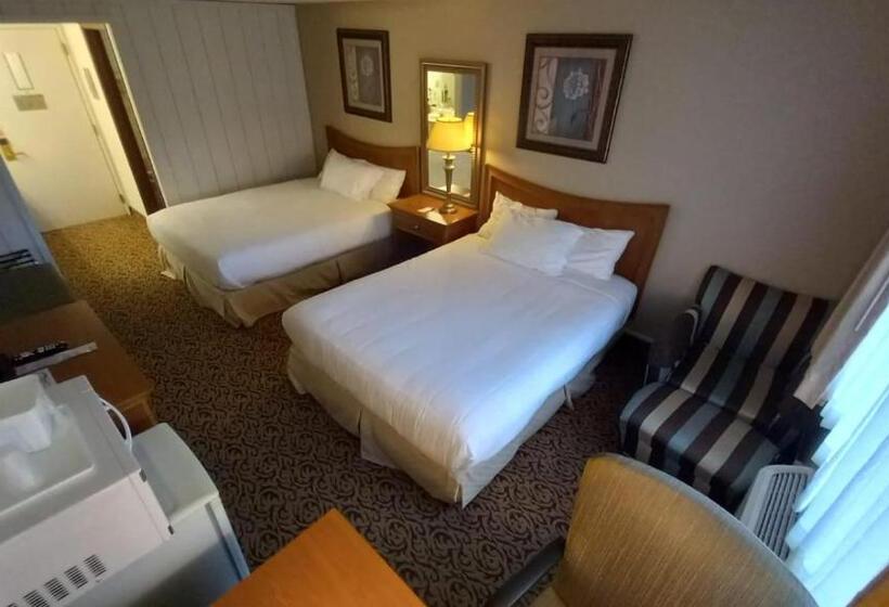 فندق Lupine Inn