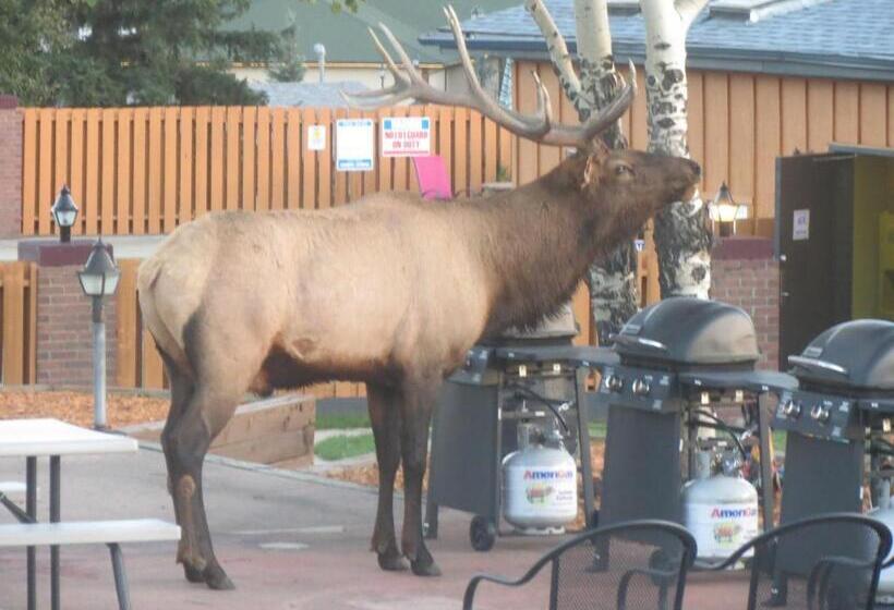 ホテル Murphy's Resort