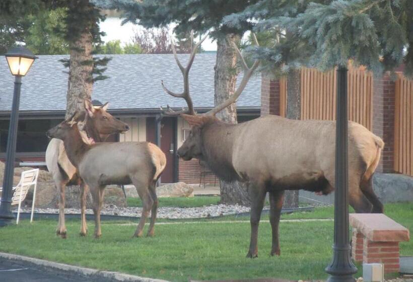 ホテル Murphy's Resort