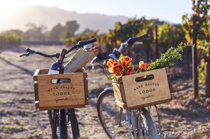 Отель Napa Valley Lodge