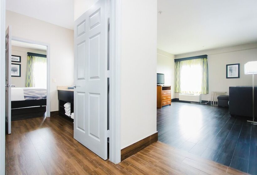 호텔 Palacio Royale Inn Signature Katy