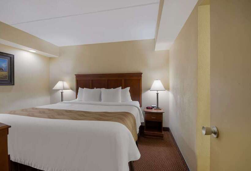 فندق Quality Inn